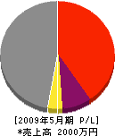 平塚組 損益計算書 2009年5月期