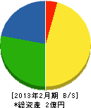 熊本総合技術コンサルタント 貸借対照表 2013年2月期