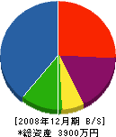 日新電設工業所 貸借対照表 2008年12月期