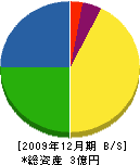 松原工務店 貸借対照表 2009年12月期
