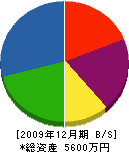 滝川アルミ 貸借対照表 2009年12月期
