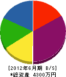 篠塚造園土木 貸借対照表 2012年6月期