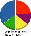 日智武建設 貸借対照表 2010年3月期