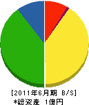 島崎建設 貸借対照表 2011年6月期
