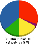 小島鐵工所 貸借対照表 2009年11月期