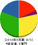 丸三大信電気 貸借対照表 2010年9月期