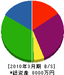 武田建設 貸借対照表 2010年3月期