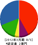 笹川組工業 貸借対照表 2012年3月期