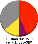 宮田土木 損益計算書 2009年6月期