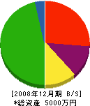 コニシ 貸借対照表 2008年12月期