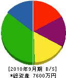 樫山鉄工所 貸借対照表 2010年9月期