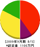 竹内工務店 貸借対照表 2009年9月期