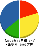坂本組 貸借対照表 2009年12月期
