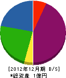 山幸本店 貸借対照表 2012年12月期