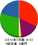 櫻井技研工業 貸借対照表 2012年7月期