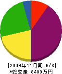 トヨタツ 貸借対照表 2009年11月期