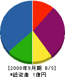 廣瀬組 貸借対照表 2008年9月期