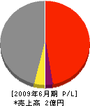 松山工業 損益計算書 2009年6月期