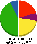 安井技研 貸借対照表 2009年3月期