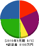 サンリツ 貸借対照表 2010年9月期