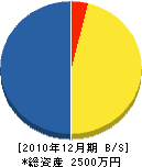 タカヤマ開発 貸借対照表 2010年12月期