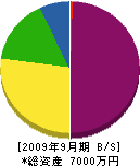 小田商店 貸借対照表 2009年9月期