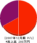 飯阪土木 損益計算書 2007年12月期