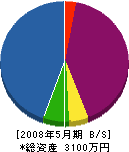源田技建工業 貸借対照表 2008年5月期