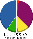 中澤電気商会 貸借対照表 2010年9月期