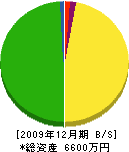 梶山工業 貸借対照表 2009年12月期