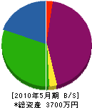 笠原電気 貸借対照表 2010年5月期