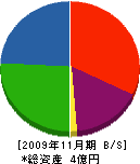 邑智組 貸借対照表 2009年11月期
