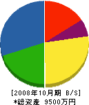 大松建設 貸借対照表 2008年10月期