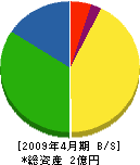 江花建設 貸借対照表 2009年4月期