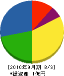 篠村室内装飾店 貸借対照表 2010年9月期