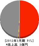 サンロード京阪 損益計算書 2012年3月期