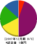 前田建材店 貸借対照表 2007年12月期