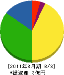 三輝 貸借対照表 2011年3月期