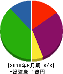 鈴木建設 貸借対照表 2010年6月期