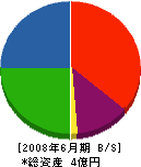長田電設工業 貸借対照表 2008年6月期