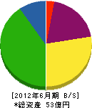 奈良県中和営繕 貸借対照表 2012年6月期