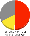 システムハウジングタイセイ 損益計算書 2010年6月期