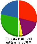 弘和電工 貸借対照表 2012年7月期