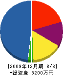 ヒタチ電設 貸借対照表 2009年12月期