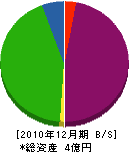 柴田電池商会 貸借対照表 2010年12月期