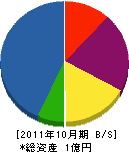 松本組 貸借対照表 2011年10月期