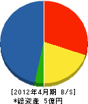 竹内工務店 貸借対照表 2012年4月期