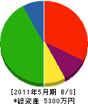 渡辺板金工業 貸借対照表 2011年5月期