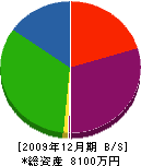 平坂技建工業 貸借対照表 2009年12月期
