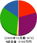 平坂技建工業 貸借対照表 2009年12月期 平坂技建工業 貸借対照表 2009年12月期